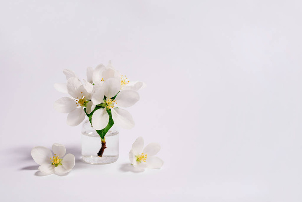 Spa natural cosmetic concept. White background - Photo, image