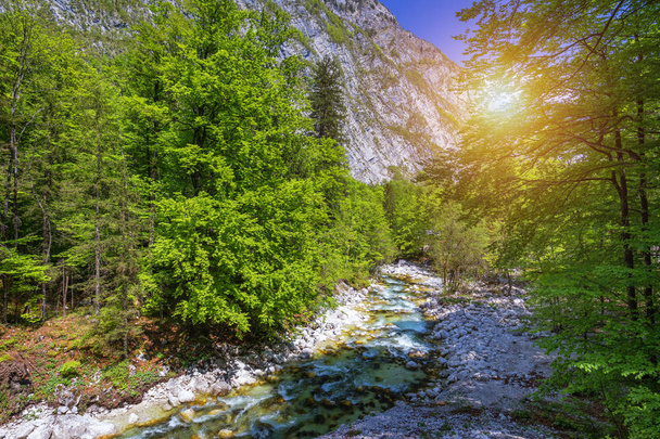 Hermoso paisaje de verano colorido con un arroyo y un bosque. Th
 - Foto, Imagen