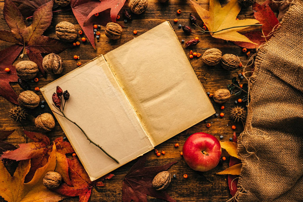 Blank diary page copy space with autumn decoration - Fotoğraf, Görsel