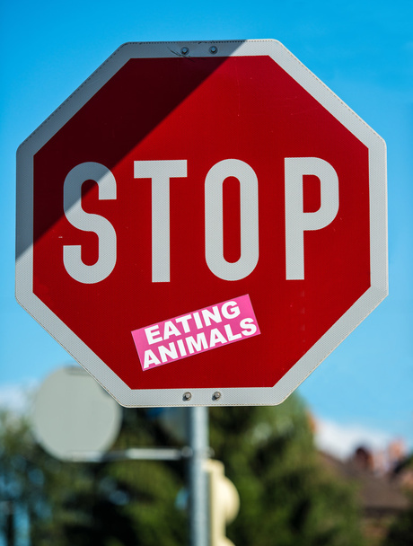 přestat jíst zvířata - Fotografie, Obrázek
