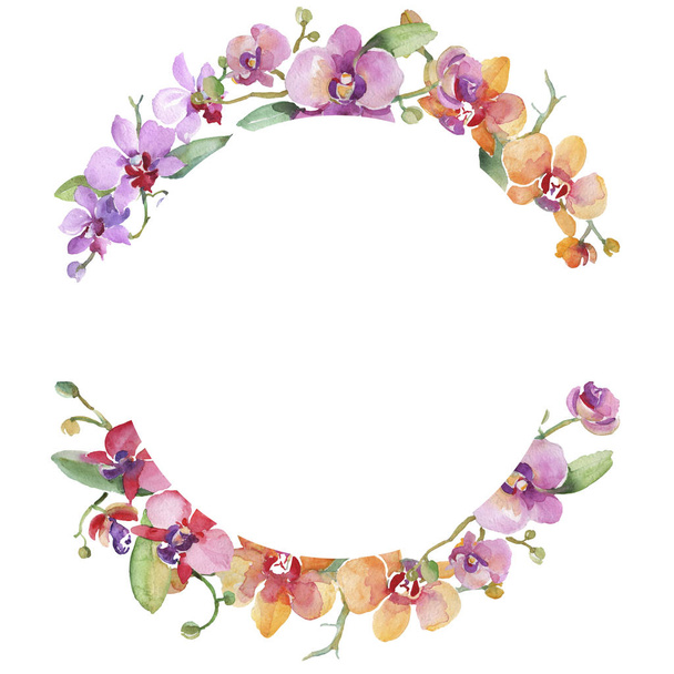 Orchid bouquets floral botanical flowers. Watercolor background illustration set. Frame border ornament square. - Foto, imagen