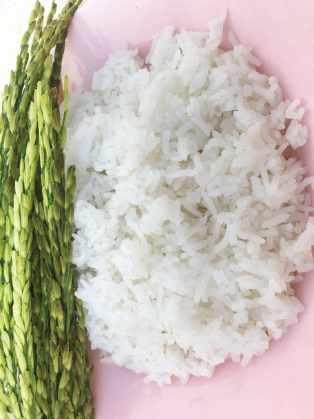 Fresh Jasmine Rice of Thailand. - Photo, Image