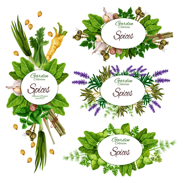 Hierbas, especias y condimentos herbarios orgánicos de granja
 - Vector, Imagen