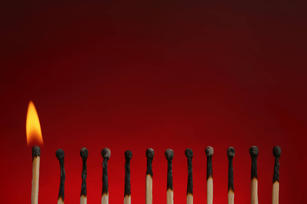 Lit match among burnt ones on color background, space for text. Difference and uniqueness concept - 写真・画像