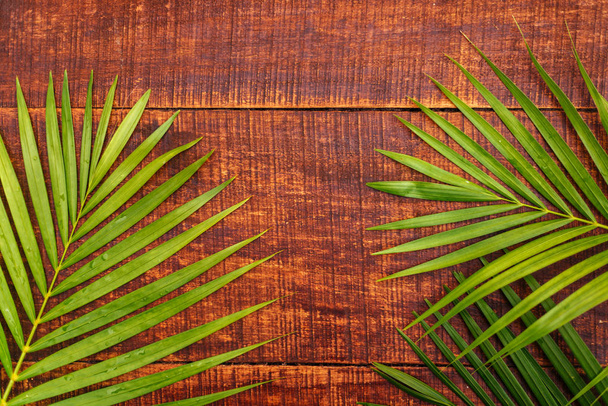 green palm leaves on a wood floor background - Foto, imagen