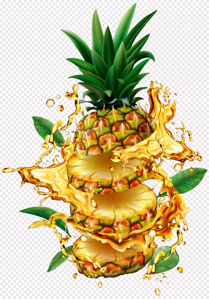 Pineapple cut into slices into of burst splashes of juices - Vektor, kép