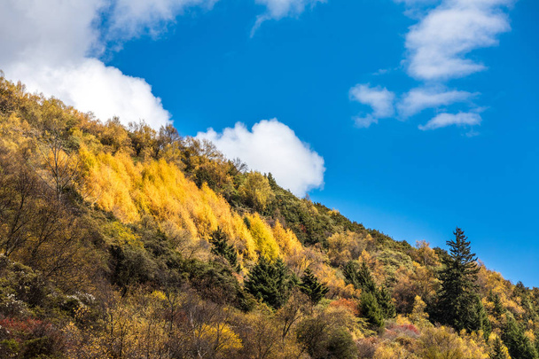 fall in mountain of China - Fotoğraf, Görsel