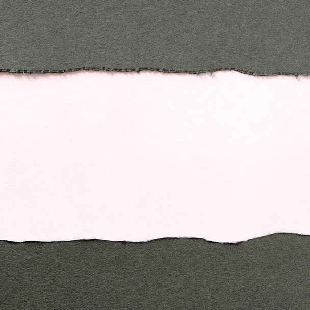 Tira de papel gris rasgada fondo blanco cuadrado plano
 - Foto, Imagen