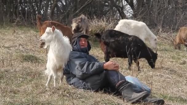 Un vecchio in abiti disordinati è seduto su una collina e sta radunando un gregge di sue capre sullo sfondo della natura appassita
. - Filmati, video