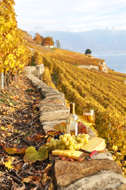 glas witte wijn en fakkeloptocht op de wijngaard met terras in lavaux - Foto, afbeelding