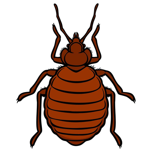 Ícone de Bug de Cama - Uma ilustração dos desenhos animados de um percevejo
. - Vetor, Imagem