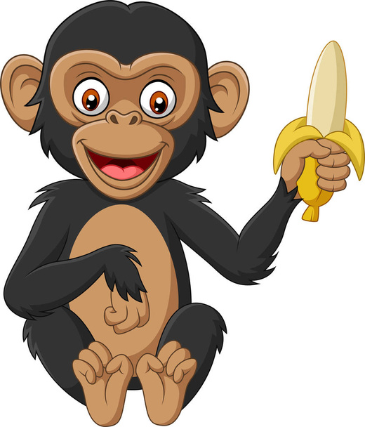 Ilustración vectorial de dibujos animados bebé chimpancé sosteniendo un plátano
 - Vector, imagen