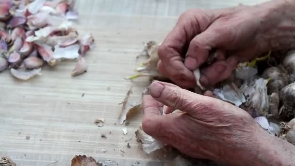 Zbliżenie starych womans ręce przesiedlenia i peeling czosnku przed gotowania lub sadzenia w ziemi na zewnątrz, życie na starej farmie - Materiał filmowy, wideo