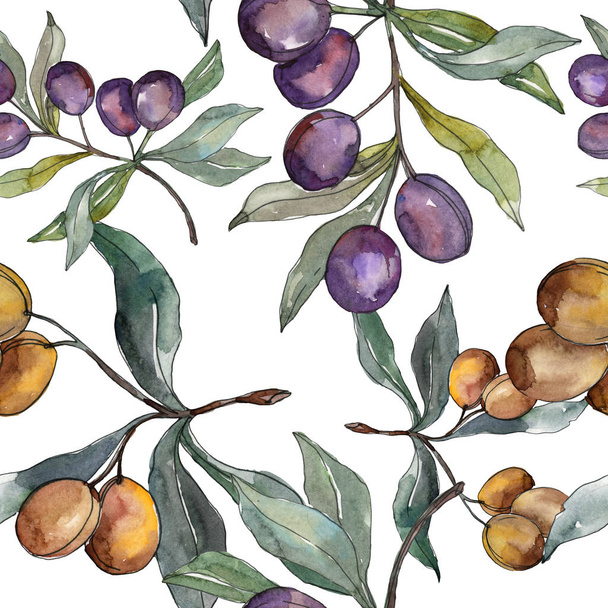 Rama de olivo con fruta negra y verde. Conjunto de ilustración de fondo acuarela. Patrón de fondo sin costuras
. - Foto, Imagen