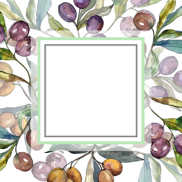 Olive branch with black and green fruit. Watercolor background illustration set. Frame border ornament square. - Foto, afbeelding