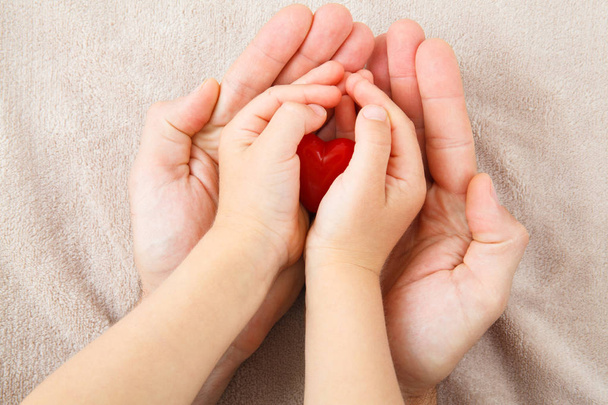 adult and child hands holding red heart - Photo, Image