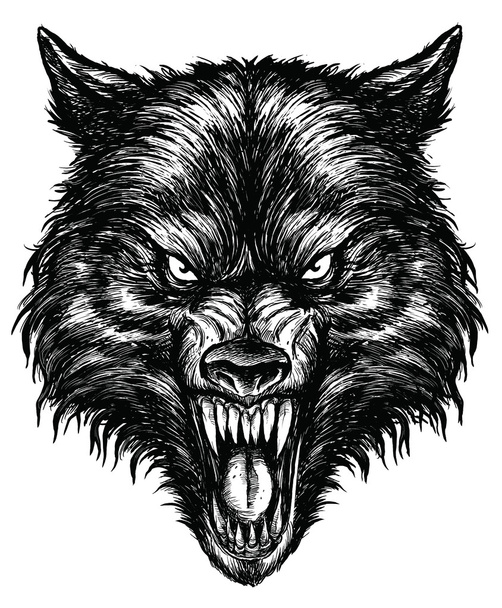 Hand Drawn Wolf - Vector, Image