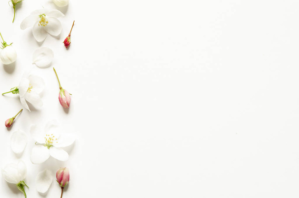 Composizione dei fiori. Modello realizzato in fiori bianchi e rosa con spazio per il testo su carta bianca. Una presa in giro. Vista dall'alto. - Immagine
  - Foto, immagini