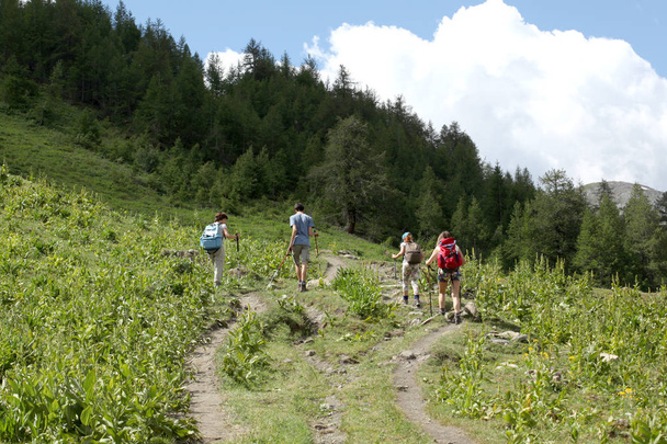 Val d'Aosta, Italy, July 5 2018: group of hikers on a trial on the mountain - Photo, Image
