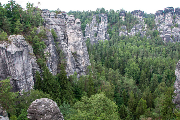 Mountain landscape of Saxon Switzerland. Forest-covered rocks. - Foto, Bild