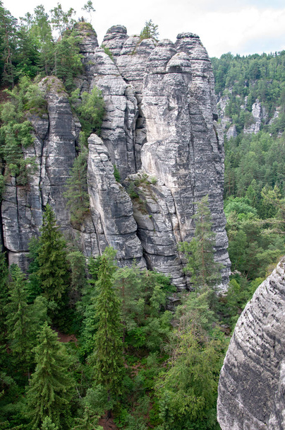 Mountain landscape of Saxon Switzerland. Forest-covered rocks. - Fotografie, Obrázek