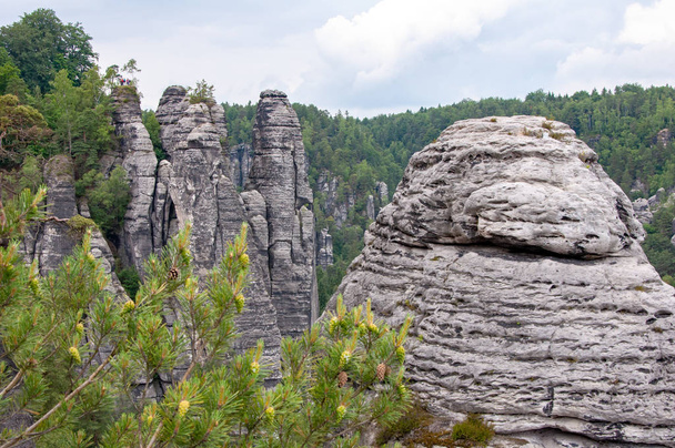 Mountain landscape of Saxon Switzerland. Forest-covered rocks. - Valokuva, kuva