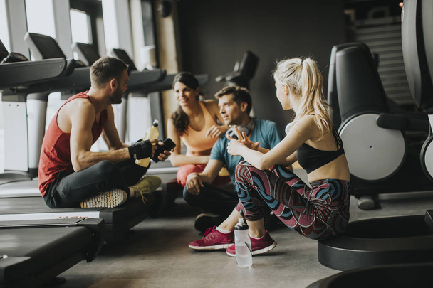 Grupa PF młodych ludzi w odzieży sportowej rozmowy i śmiech razem podczas odpoczynku w siłowni po treningu - Zdjęcie, obraz