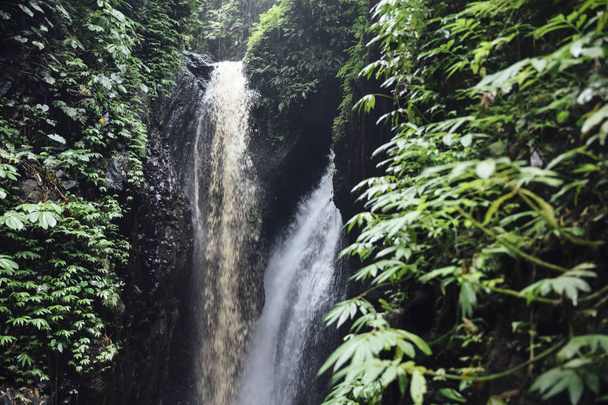 Detail of the Gitgit waterfall at Bali, Indonesia - Zdjęcie, obraz