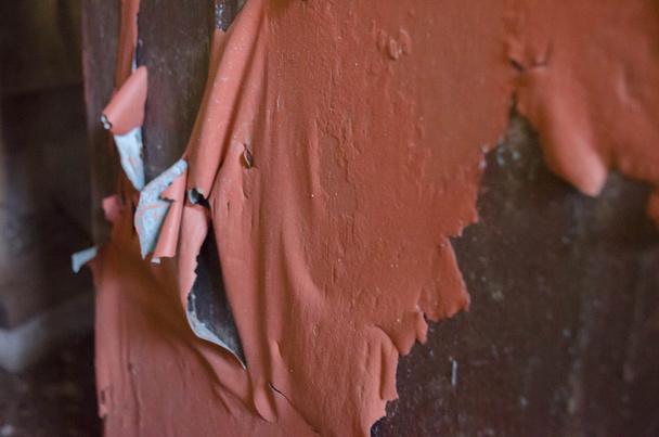 Dried Peeling Paint Detail - Photo, Image