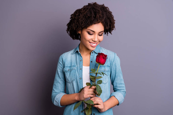Close up photo beautiful amazing she her dark skin lady cheer flirty hands arms big red rose toothy satisfied boyfriend husband surprise wear casual jeans denim shirt isolated grey background - Foto, immagini
