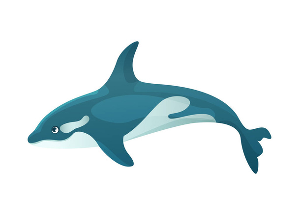 Aquarium cartoon ocean scythe, killer whale animals for games isolated - Вектор,изображение