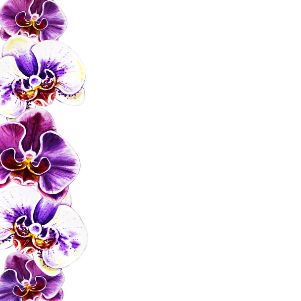 çiçek açan orkide çiçek suluboya illüstrasyon  - Fotoğraf, Görsel