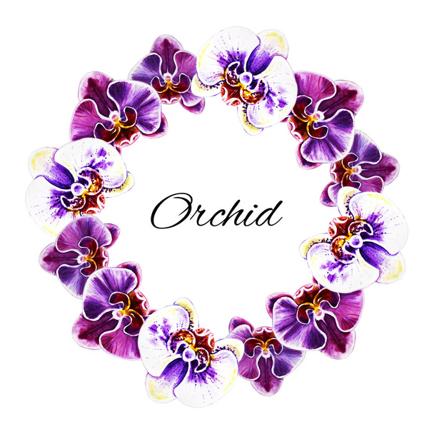 watercolor illustration, orchid flowers frame - Photo, Image
