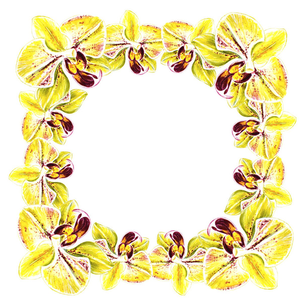 Kaunis kehys keltainen Bloomimg orkidea kukkia. Vesivärimaalaus. Eksoottinen kasvi. Kukkajälki. Kasvitieteellinen koostumus. Häät ja syntymäpäivä. Onnittelukortti. Kukka maalattu tausta. Käsin piirretty kuva
. - Valokuva, kuva