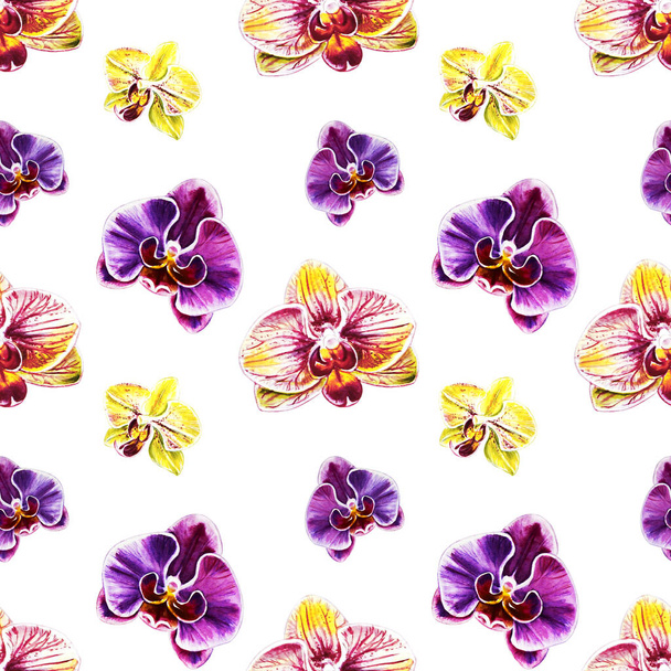seamless pattern with watercolor orchid flowers  - Φωτογραφία, εικόνα
