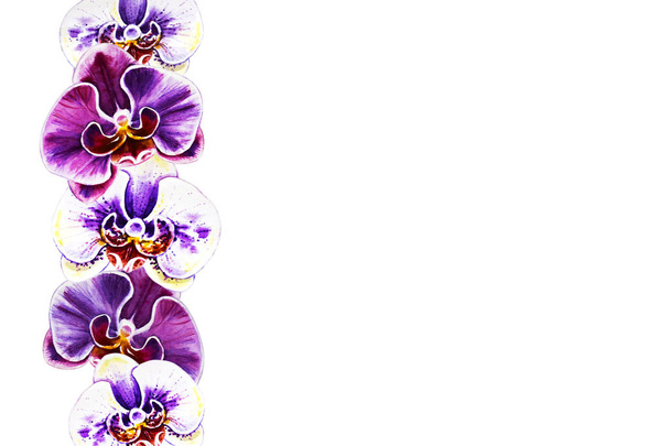 acuarela ilustración de flores de orquídea en flor
  - Foto, Imagen