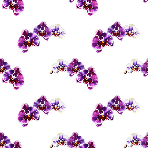 seamless pattern with watercolor orchid flowers  - Photo, Image