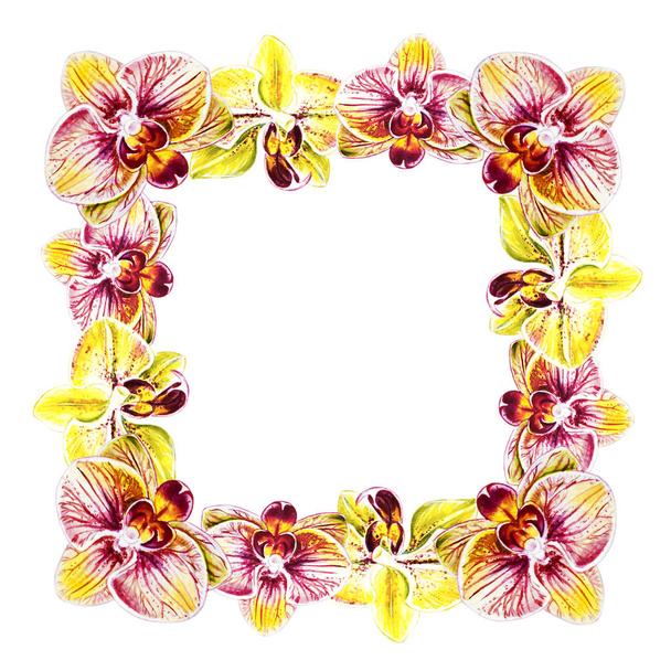 watercolor illustration, orchid flowers frame - Foto, Imagen