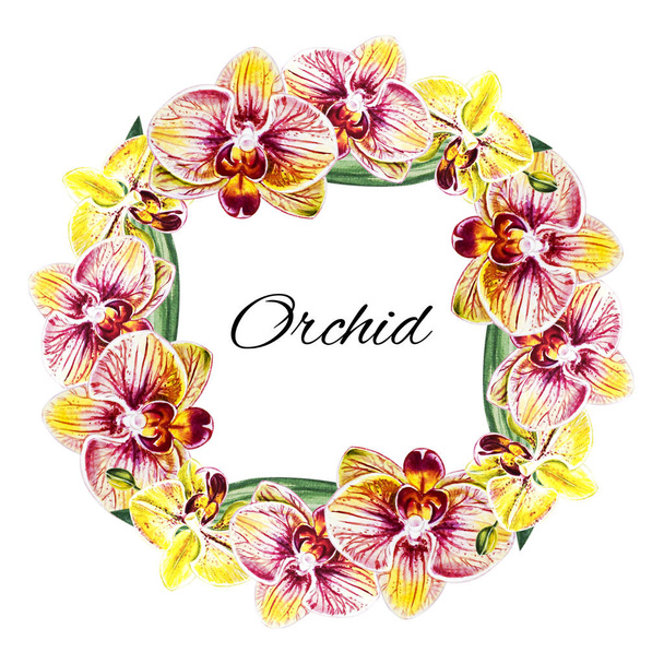 Aquarel illustratie, orchidee bloemen frame - Foto, afbeelding