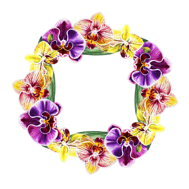 watercolor illustration, orchid flowers frame - Foto, Imagen