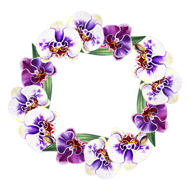 watercolor illustration, orchid flowers frame - Фото, зображення