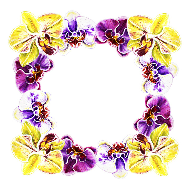 acquerello illustrazione, cornice fiori orchidea
 - Foto, immagini