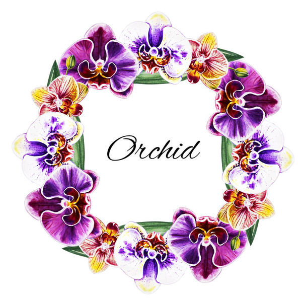 suluboya illüstrasyon, orkide çiçek çerçeve - Fotoğraf, Görsel