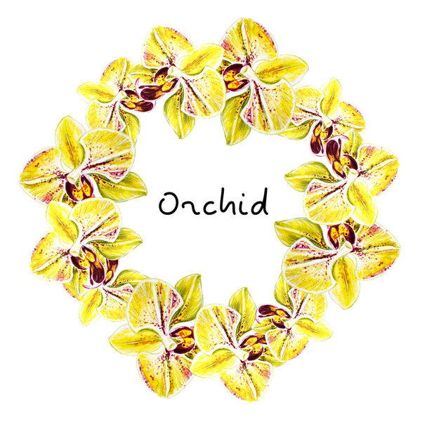 Aquarel illustratie, orchidee bloemen frame - Foto, afbeelding
