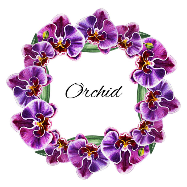 akvarell illusztráció, orchidea virágok keret - Fotó, kép
