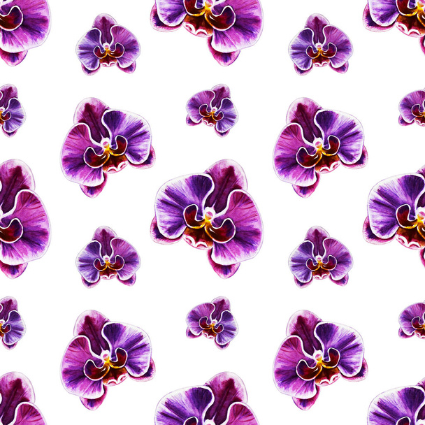 seamless pattern with watercolor orchid flowers  - Фото, зображення