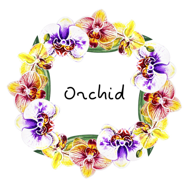 ilustracja akwarela, kwiat orchidei ramki - Zdjęcie, obraz