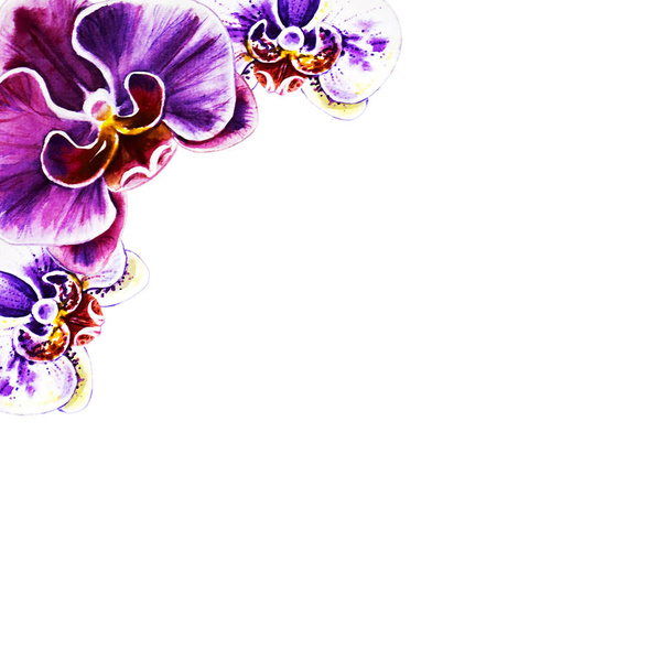 akvarell illusztráció virágzó orchidea virágok  - Fotó, kép