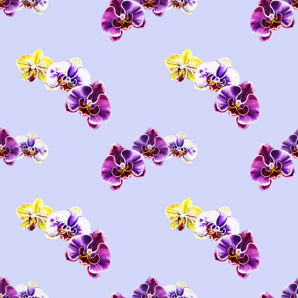 Цветы орхидеи с акварелью
  - Фото, изображение