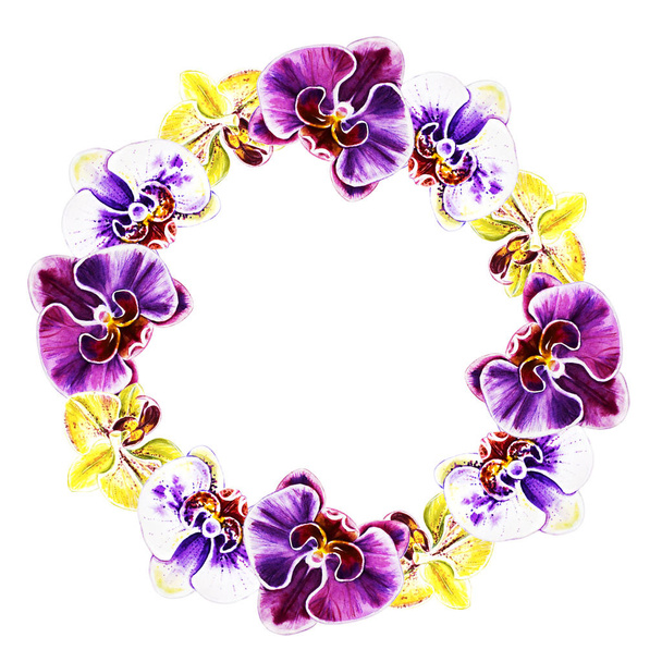 illustration aquarelle, cadre de fleurs d'orchidée
 - Photo, image